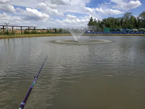 Рыбалка