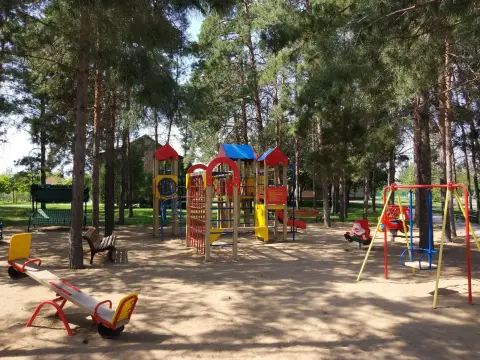Гостевой визит