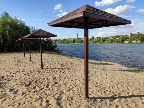 Гостевой визит