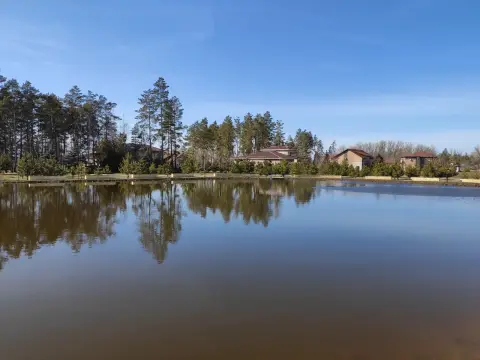 Гостевой визит